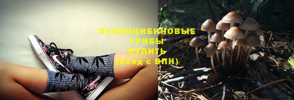 ешки Чекалин