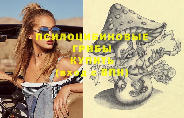 спайс Гусев