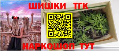 бошки Кингисепп