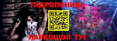бошки Кингисепп