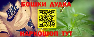 бошки Кингисепп