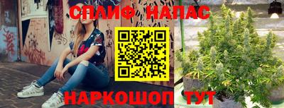 бошки Кингисепп
