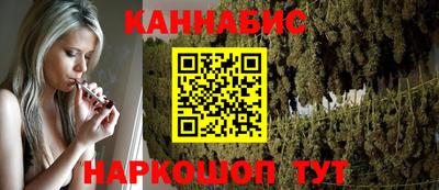 бошки Кингисепп