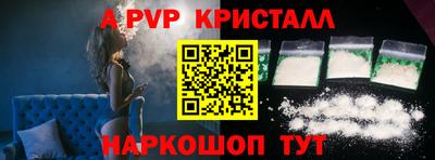 бошки Кингисепп