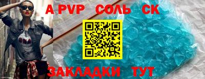 бошки Кингисепп