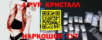 бошки Кингисепп