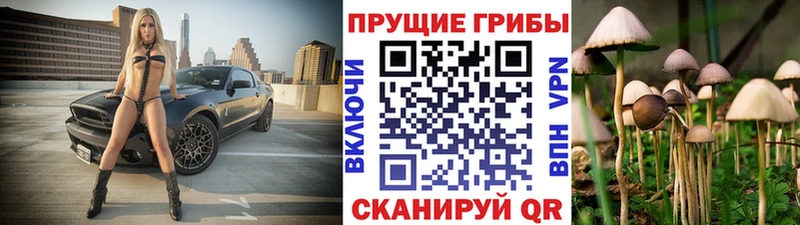 Псилоцибиновые грибы мицелий Осинники