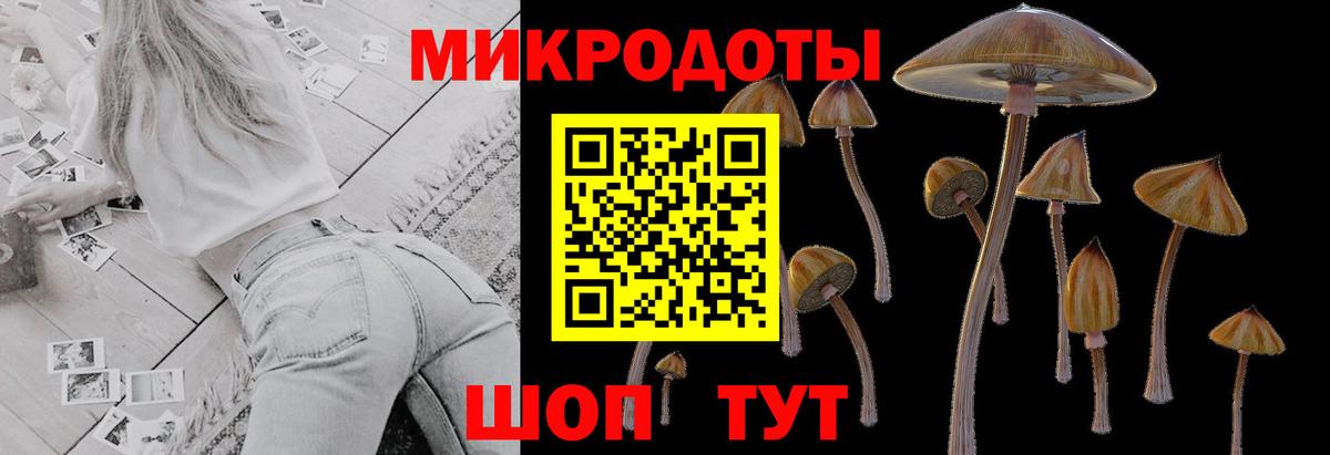 Галлюциногенные грибы Psilocybine cubensis  Псилоцибиновые грибы Magic Shrooms  Осинники  Вход с VPN 